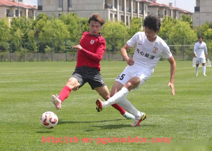 PG电子在线试玩入口-火箭队队史最伟大球员排名及个人荣誉详解