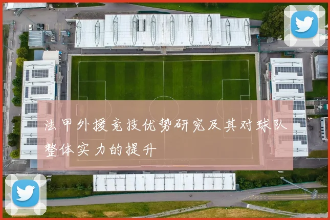 法甲外援竞技优势研究及其对球队整体实力的提升