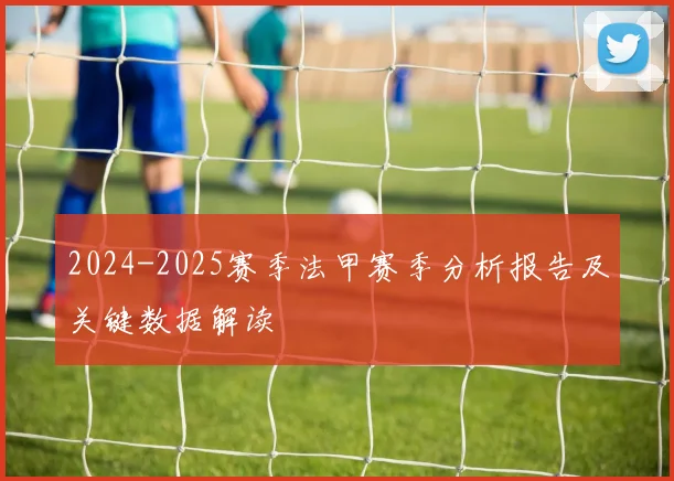 2024-2025赛季法甲赛季分析报告及关键数据解读