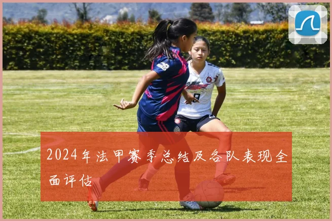 2024年法甲赛季总结及各队表现全面评估