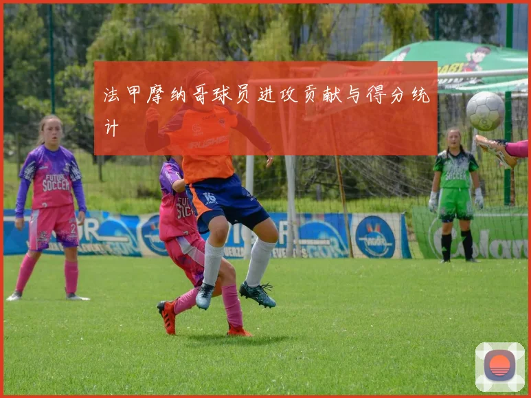 法甲摩纳哥球员进攻贡献与得分统计